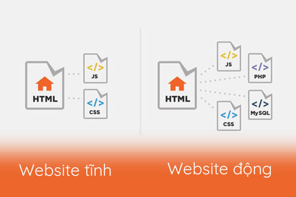 WEBITE LÀ TẬP TIN HTML HOẶC XHTML CÓ THỂ TRUY NHẬP DÙNG GIAO THỨC HTTP 